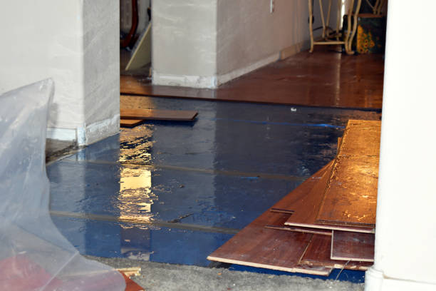 Professional Flood Cleanup technician working in Schulenburg, TX